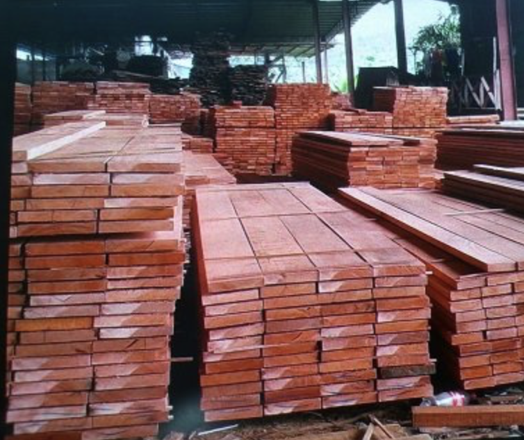 Red Meranti